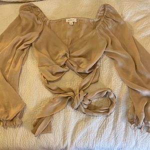 Silk Crop Top